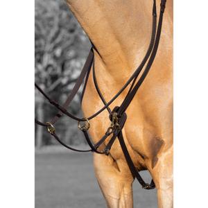 it03915-martingale-de-course-pour-chevall-lemieux-kudos-brown-brass