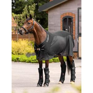 product/l/e/lemieux_it04494007_2.jpg