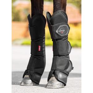 product/l/e/lemieux_it04494007_3.jpg