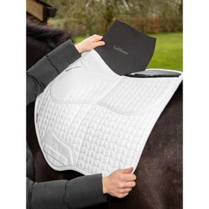 product/l/e/lemieux_it04901005_2.jpg