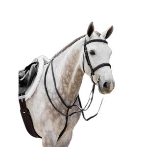 it05743007-martingale-pour-cheval-lemieux-hunter-noir-argent
