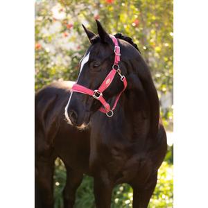 product/l/e/lemieux_it06972007_cranberry_2.jpg