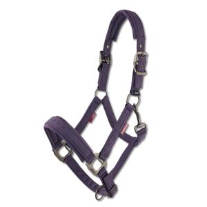it06974007-licol-nylon-pour-cheval-lemieux-finesse-juniper