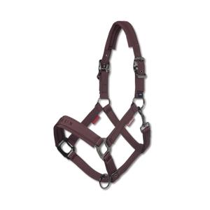it07768007-licol-nylon-pour-cheval-lemieux-finesse-damson