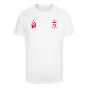 mt3344-00220-t-shirt-mister-tee-espana-trikot-white