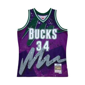 tfsm1253-mbu00ralpurp-maillot-nba-milwaukee-bucks-ray-allen-swingman-hyper-hoops-2000-01-purple