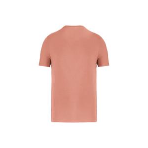 product/n/a/native-spirit_ns300-peach_1.jpg