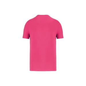 product/n/a/native-spirit_ns300-raspberrysorbet_1.jpg