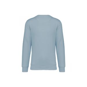 product/n/a/native-spirit_ns400-aquamarine_1.jpg