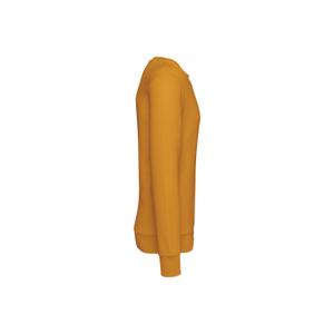 product/n/a/native-spirit_ns400-curcuma_2.jpg