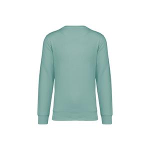 product/n/a/native-spirit_ns400-jadegreen_1.jpg