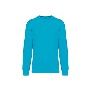 ns400-lightturquoise-sweatshirt-col-rond-ecoresponsable-native-spirit-lightturquoise