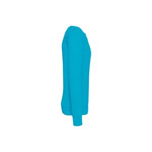 product/n/a/native-spirit_ns400-lightturquoise_2.jpg