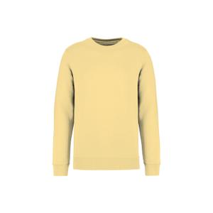 ns400-pineapple-sweatshirt-col-rond-ecoresponsable-native-spirit-pineapple