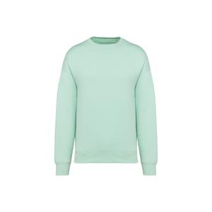 ns407-brookgreen-sweatshirt-col-rond-ecoresponsable-oversize-native-spirit-brookgreen