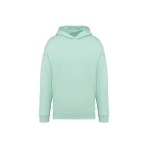 ns408-brookgreen-sweatshirt-a-capuche-oversize-ecoresponsable-native-spirit-brookgreen