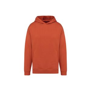 ns408-burntbrick-sweatshirt-a-capuche-oversize-ecoresponsable-native-spirit-burntbrick