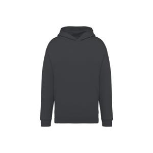 ns408-irongrey-sweatshirt-a-capuche-oversize-ecoresponsable-native-spirit-irongrey