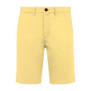 ns738-pineapple-bermuda-native-spirit-pineapple