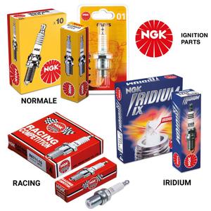 product/n/g/ngk_br9ecm.jpg