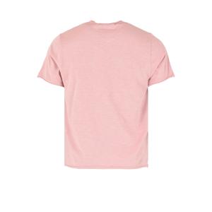product/p/e/pepe-jeans_pm509765-323_ash-rose_2.jpg