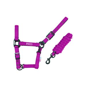 ca00027k-fucsia-licol-pour-cheval-en-nylon-avec-cuir-pool-s-ca00027k-fucsia