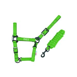 ca00027k-lime-licol-pour-cheval-en-nylon-avec-cuir-pool-s-ca00027k-lime