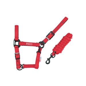 ca00027k-red-licol-pour-cheval-en-nylon-avec-cuir-pool-s-ca00027k-red
