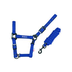 product/p/o/pool-s_ca00027k-royalblue_ca00027k-royalblue_1.jpg