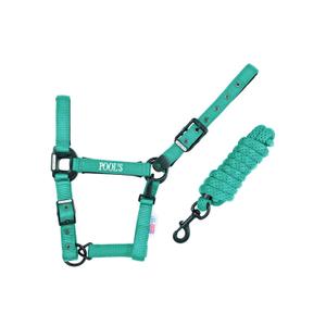 ca00027k-turquoise-licol-pour-cheval-en-nylon-avec-cuir-pool-s-ca00027k-turquoise