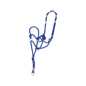 ca00150-turquoise-licol-pour-cheval-pool-s-direction-2020-turquoise-tu