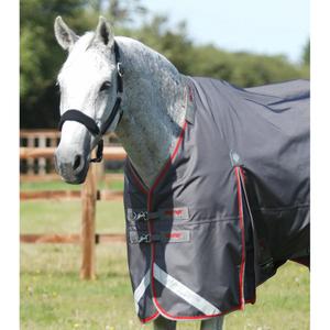 product/p/r/premier-equine_2213-50g_2.jpg
