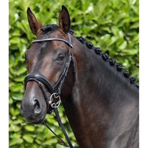 8013-c-8013-xf-bridon-anatomique-muserolle-combinee-premier-equine-stellazzio-black