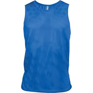 product/p/s/ps_pa043_sportyroyalblue.jpg