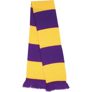 r146x-purple-yellow-echarpe-result-bicolore-team-violet-jaune-tu