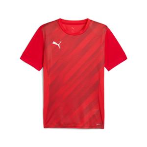 707113-01-maillot-enfant-puma-teamgoal-graphic-red