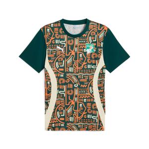777218-04-maillot-prematch-cote-d-ivoire-can-2025-vert