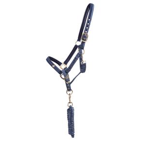 1132-na-ensemble-licol-et-longe-pour-cheval-qhp-lily-navy