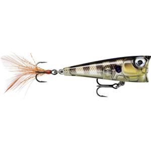 ra5824102-leurre-rapala-x-light-pop-fnp04-ggiu-4-cm