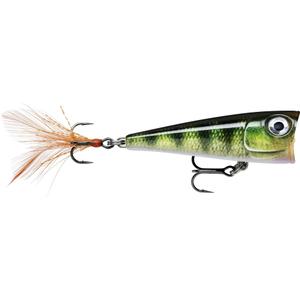 ra5824105-leurre-rapala-x-light-pop-fnp04-pel-4-cm