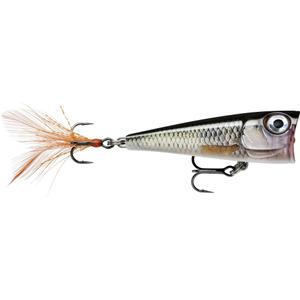 ra5824106-leurre-rapala-x-light-pop-fnp04-rol-4-cm
