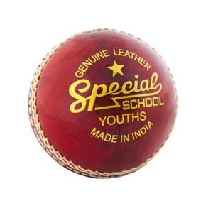 ctb108y-balle-de-cricket-enfant-readers-special-school-red-tu