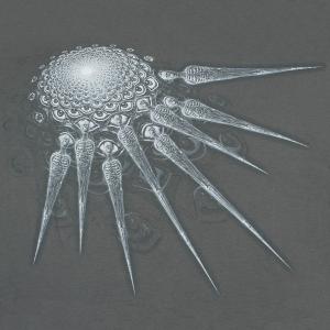 product/r/o/rock-a-gogo_rk2292_3.jpg