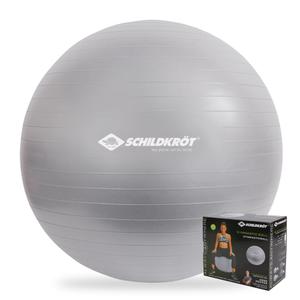 960155-gym-ball-schildkrot-silver