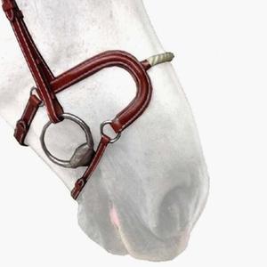 product/s/i/silver-crown_n03ccord_conker_1.jpg
