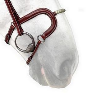 n03ncord-muserolle-cheval-corde-silver-crown-h-australian-nut-full