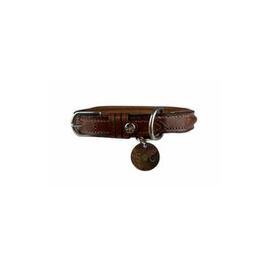 p18n45-collier-pour-chien-silver-crown-jo-australian-nut-45-cm