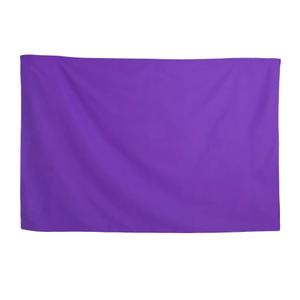 24237-060-35-serviette-microfibre-softee-toalla-violet-75x35-cm