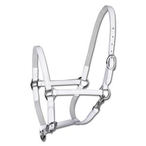 50436202-wb-licol-de-presentation-pour-poulain-en-cuir-star-blanc-full