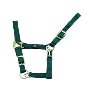 product/s/u/supreme_ca00011-huntergreen_ca00011-huntergreen_1.jpg